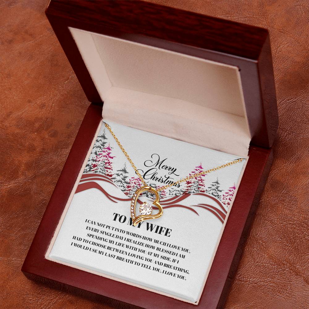 4016a Forever Love Necklace, Gift to my Wife with beautiful Message Card