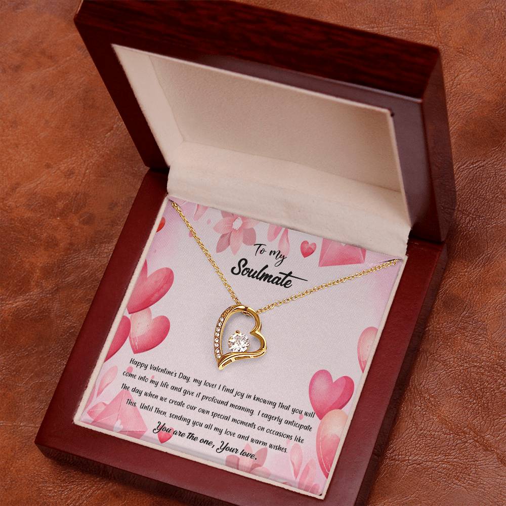 valentine-37b Forever Love Necklace, Gift to My Soulmate with Beautiful Message Card