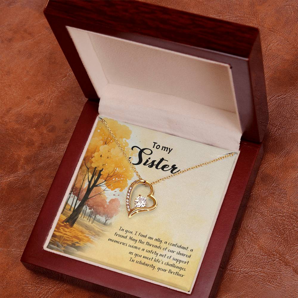 4041b Forever Love Necklace, Gift to my Sister with Beautiful Message Card