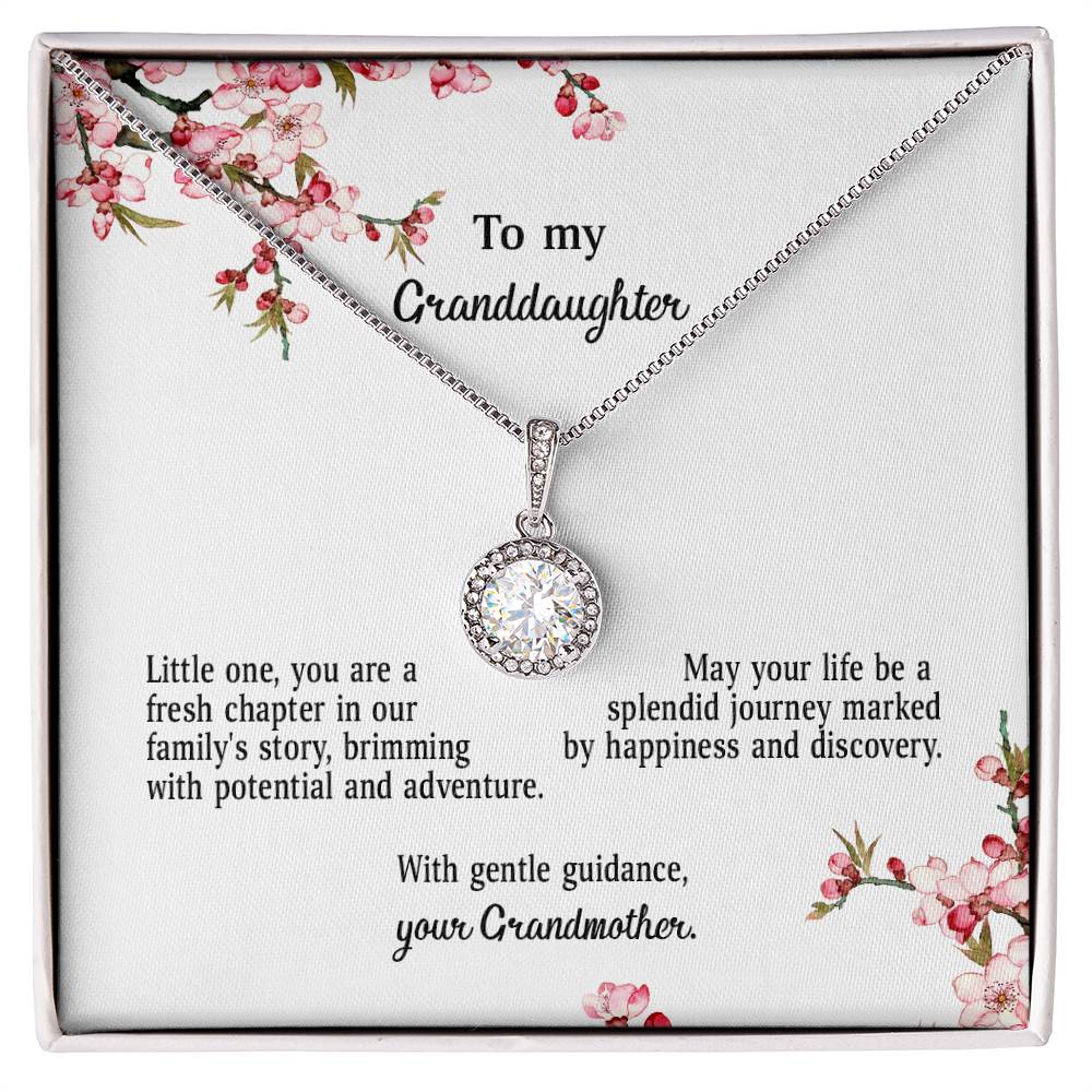 4039d Eternal Hope Necklace, Gift to my Granddaughter with Beautiful Message Card