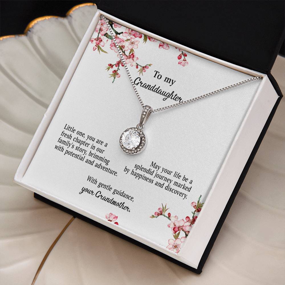 4039d Eternal Hope Necklace, Gift to my Granddaughter with Beautiful Message Card