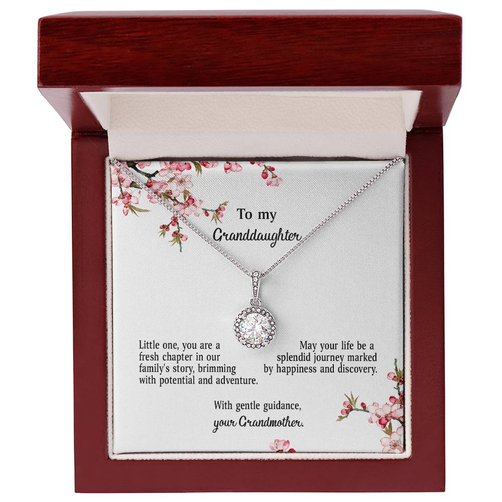 4039d Eternal Hope Necklace, Gift to my Granddaughter with Beautiful Message Card