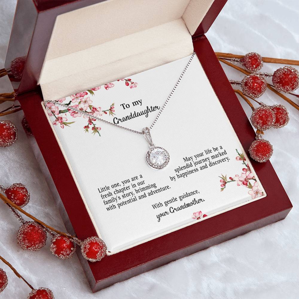 4039d Eternal Hope Necklace, Gift to my Granddaughter with Beautiful Message Card