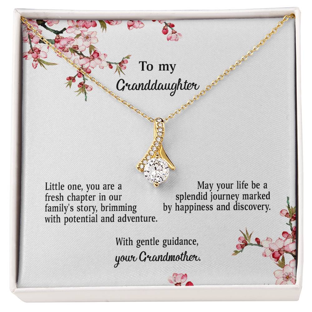 4039d Alluring Beauty Necklace, Gift to my Granddaughter with Beautiful Message Card