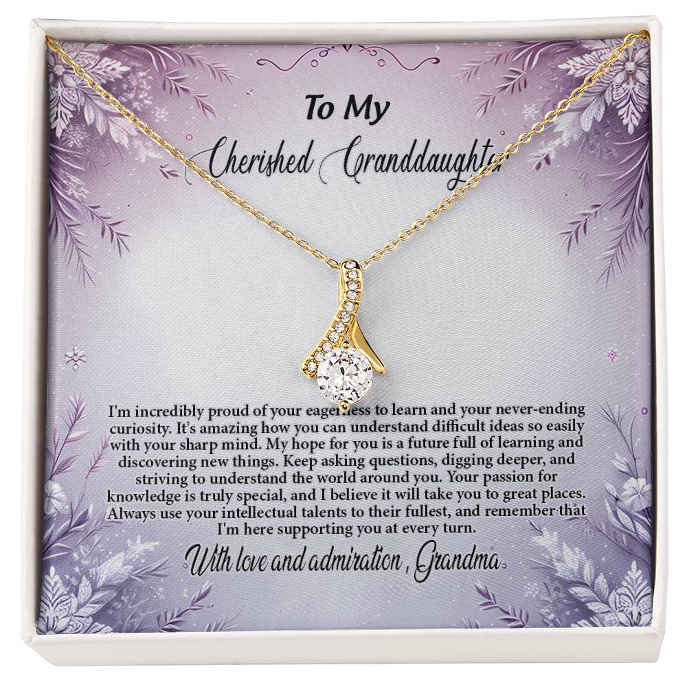 4054c Alluring Beauty Necklace, Gift to my Granddaughter with Beautiful Message Card