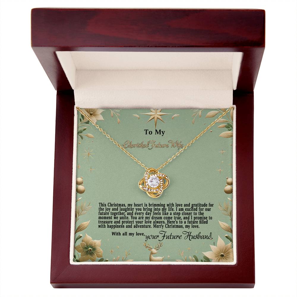 4047c Love Knot Necklace, Gift to my Future Wife with Beautiful Message Card