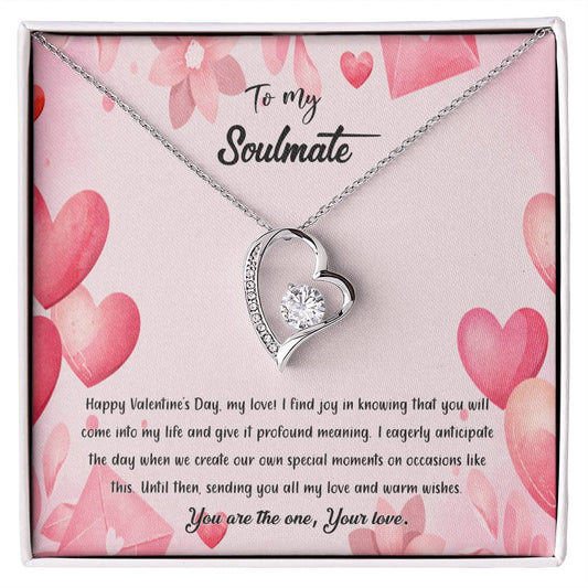 valentine-37b Forever Love Necklace, Gift to My Soulmate with Beautiful Message Card