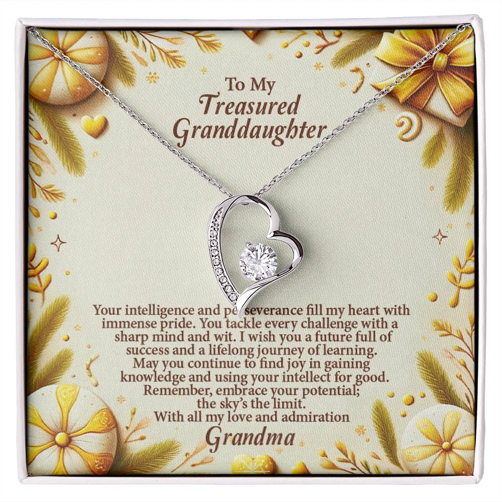 4056b Forever Love Necklace, Gift to my Granddaughter with Beautiful Message Card