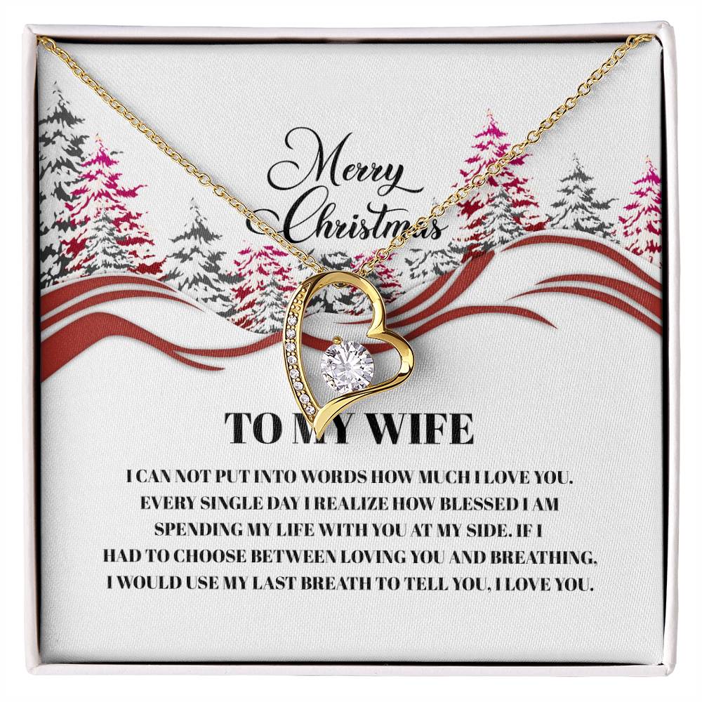 4016a Forever Love Necklace, Gift to my Wife with beautiful Message Card