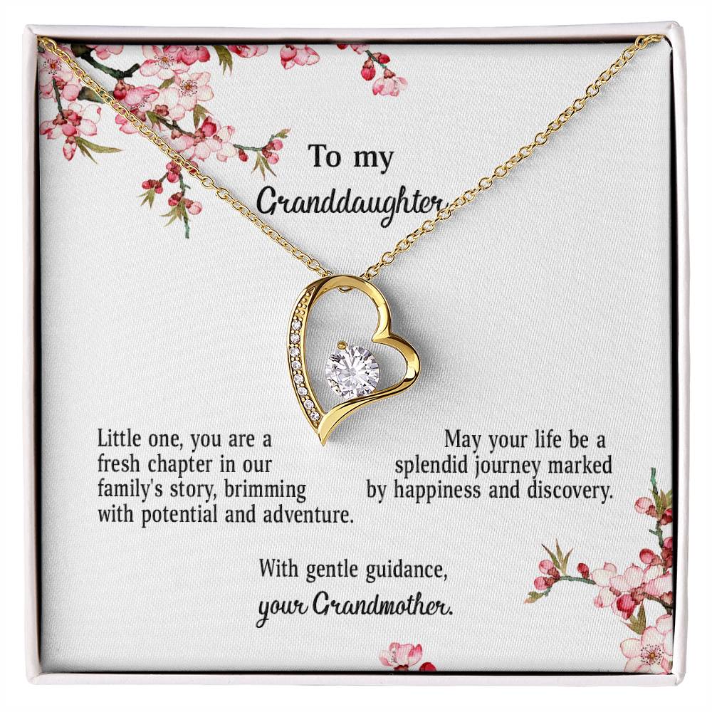 4039d Forever Love Necklace, Gift to my Granddaughter with Beautiful Message Card