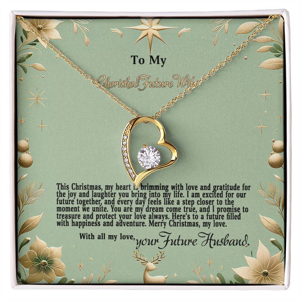 4047c Forever Love Necklace, Gift to my Future Wife with Beautiful Message Card