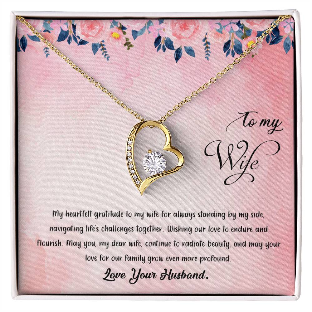 valentine-38a Forever Love Necklace, Gift to my Wife with Beautiful Message Card