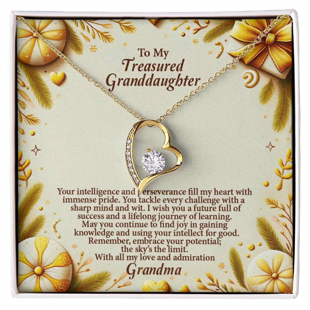 4056b Forever Love Necklace, Gift to my Granddaughter with Beautiful Message Card