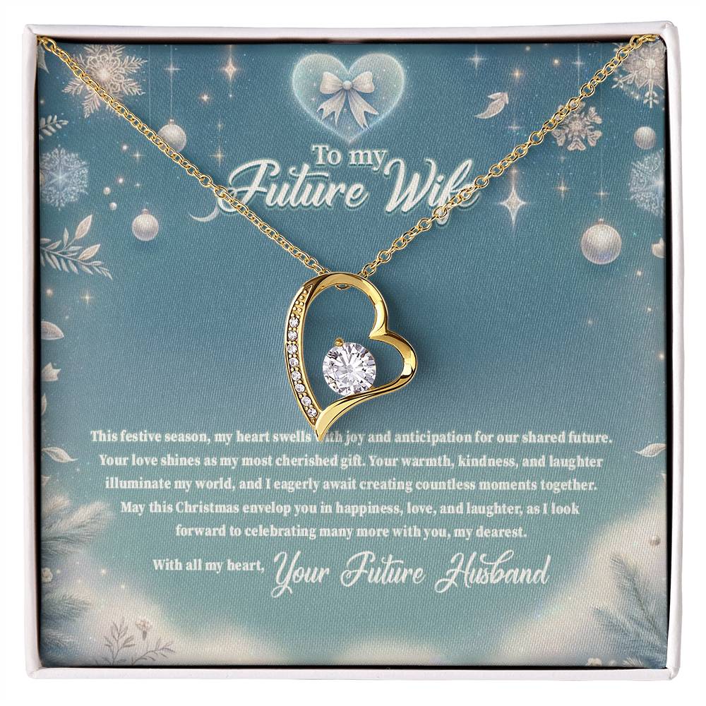 4045 (3) Forever Love Necklace, Gift to my Future Wife with Beautiful Message Card