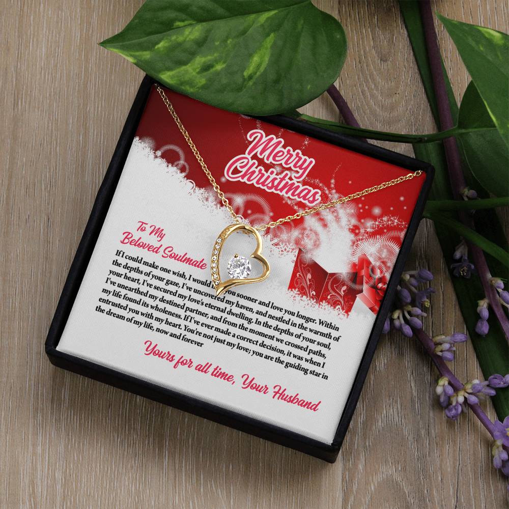 4003c Forever Love Necklace, Gift to My Soulmate with Beautiful Message Card