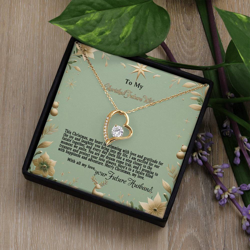 4047c Forever Love Necklace, Gift to my Future Wife with Beautiful Message Card