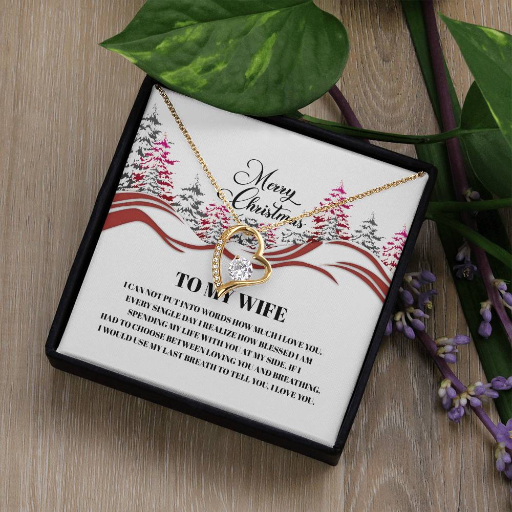 4016a Forever Love Necklace, Gift to my Wife with beautiful Message Card