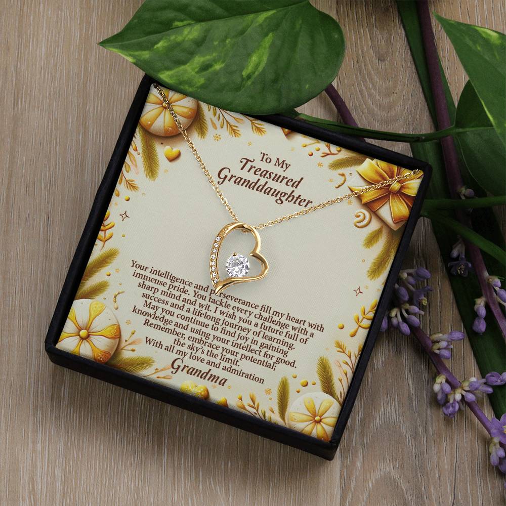 4056b Forever Love Necklace, Gift to my Granddaughter with Beautiful Message Card