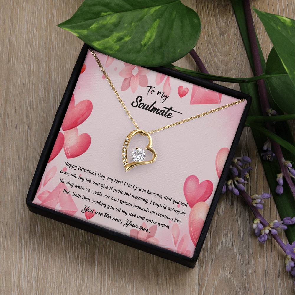 valentine-37b Forever Love Necklace, Gift to My Soulmate with Beautiful Message Card