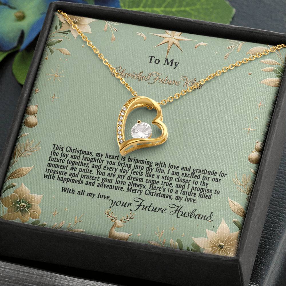 4047c Forever Love Necklace, Gift to my Future Wife with Beautiful Message Card